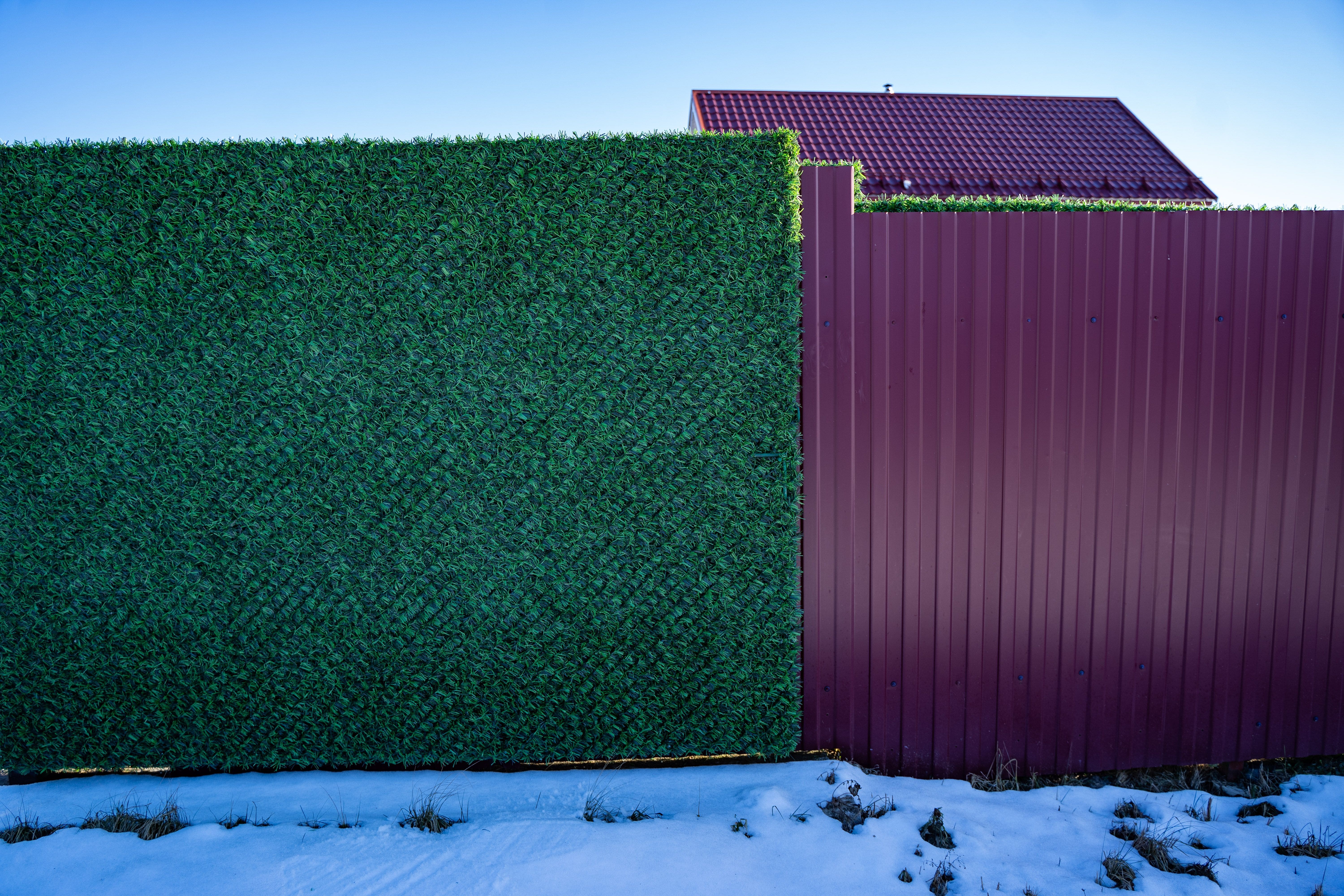 Вечнозеленый забор Grass Fence рулон 2м фото 2 в Туле