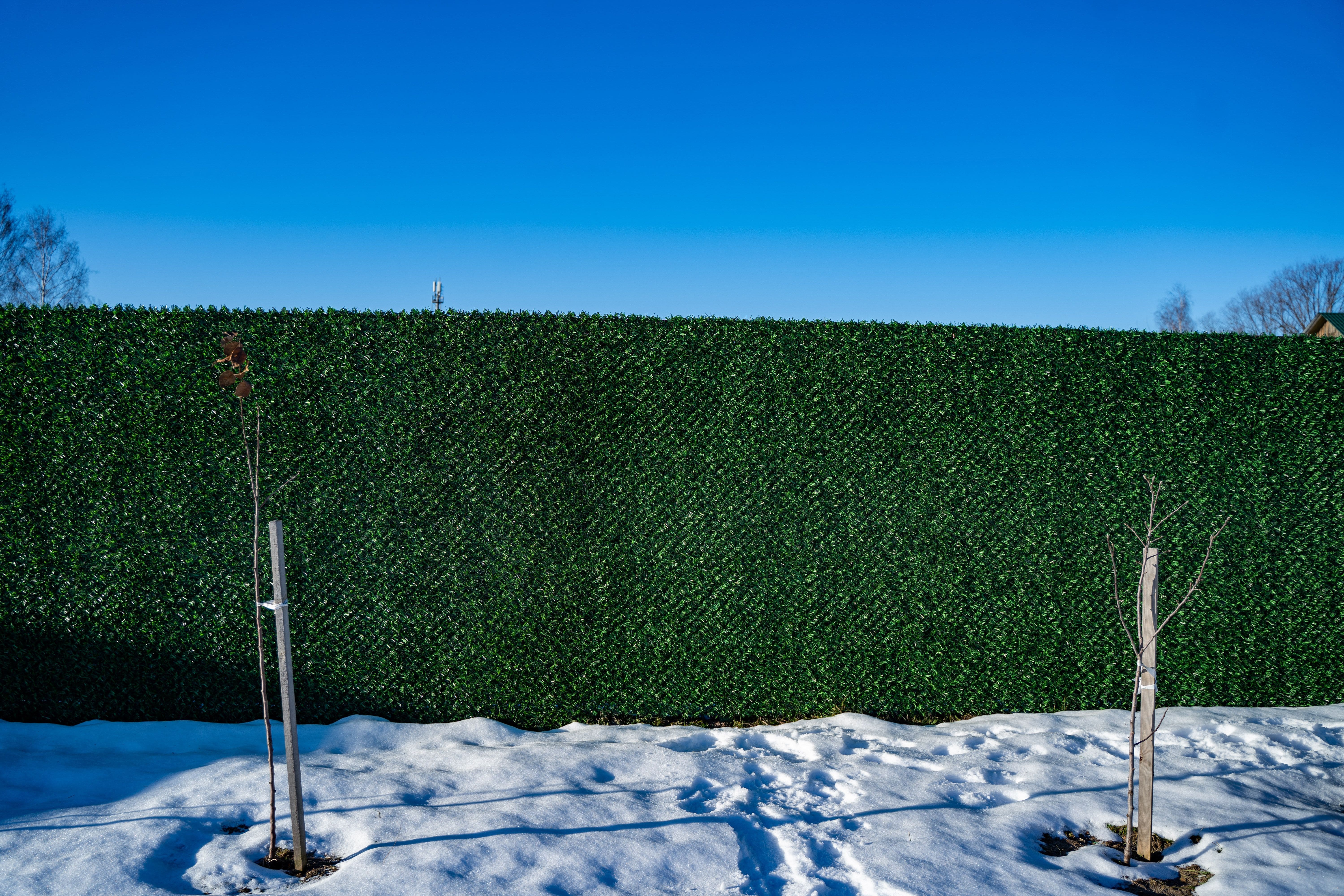 Вечнозеленый забор Grass Fence рулон 2м фото 8 в Туле