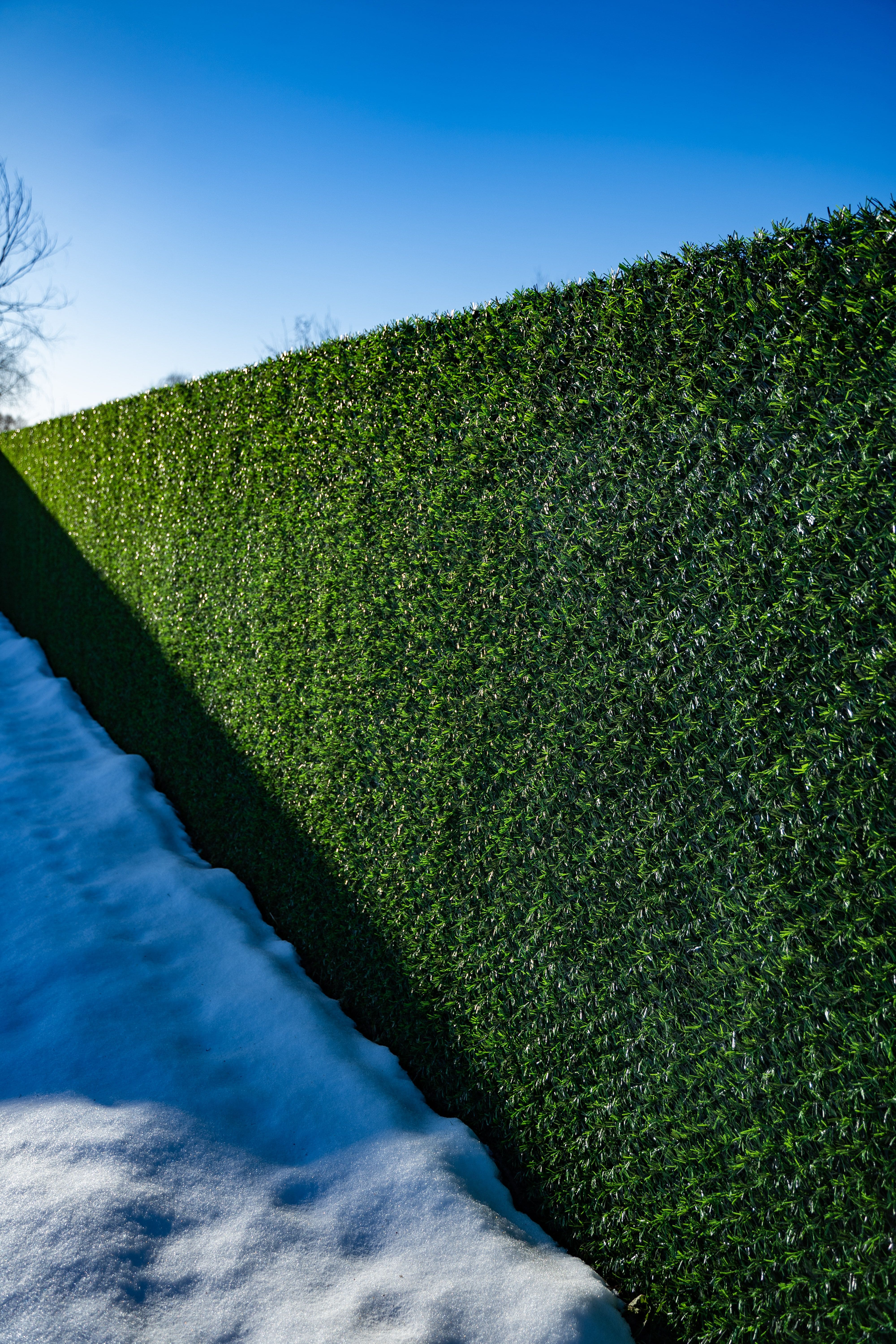 Вечнозеленый забор Grass Fence рулон 2м фото 6 в Туле